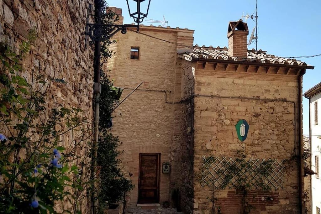 *La Torre Di Amelia* Nel Cuore Dell' Umbria 외부 사진